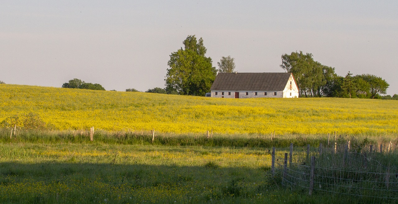 Fields marked. Здание в поле.