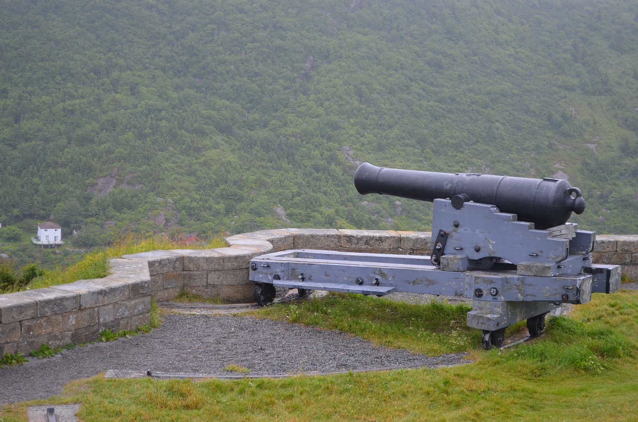 canon  st john's harbor  fort free photo