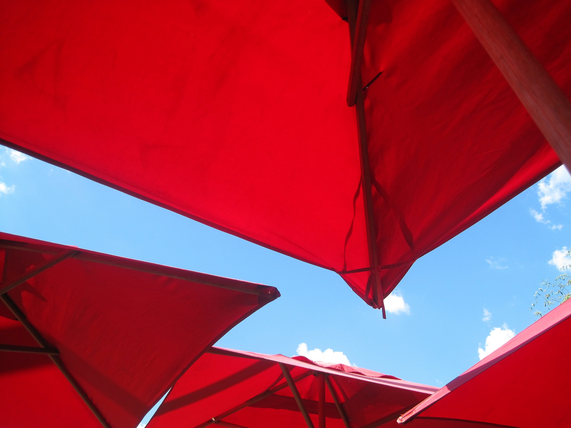 umbrellas brollies red free photo
