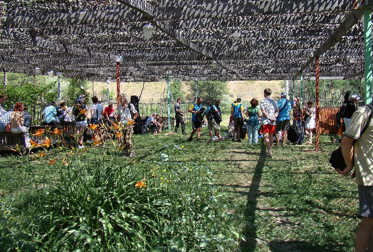 canopy net summer free photo