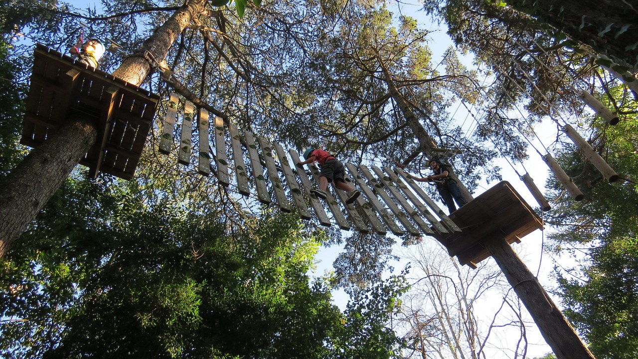 canopy tours adventure courage free photo