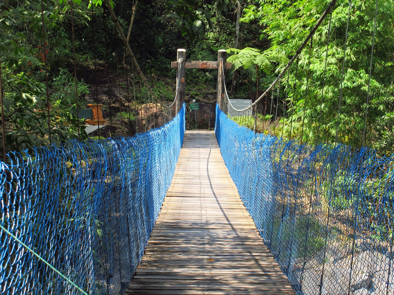 canopy walk bridge bridge walk free photo