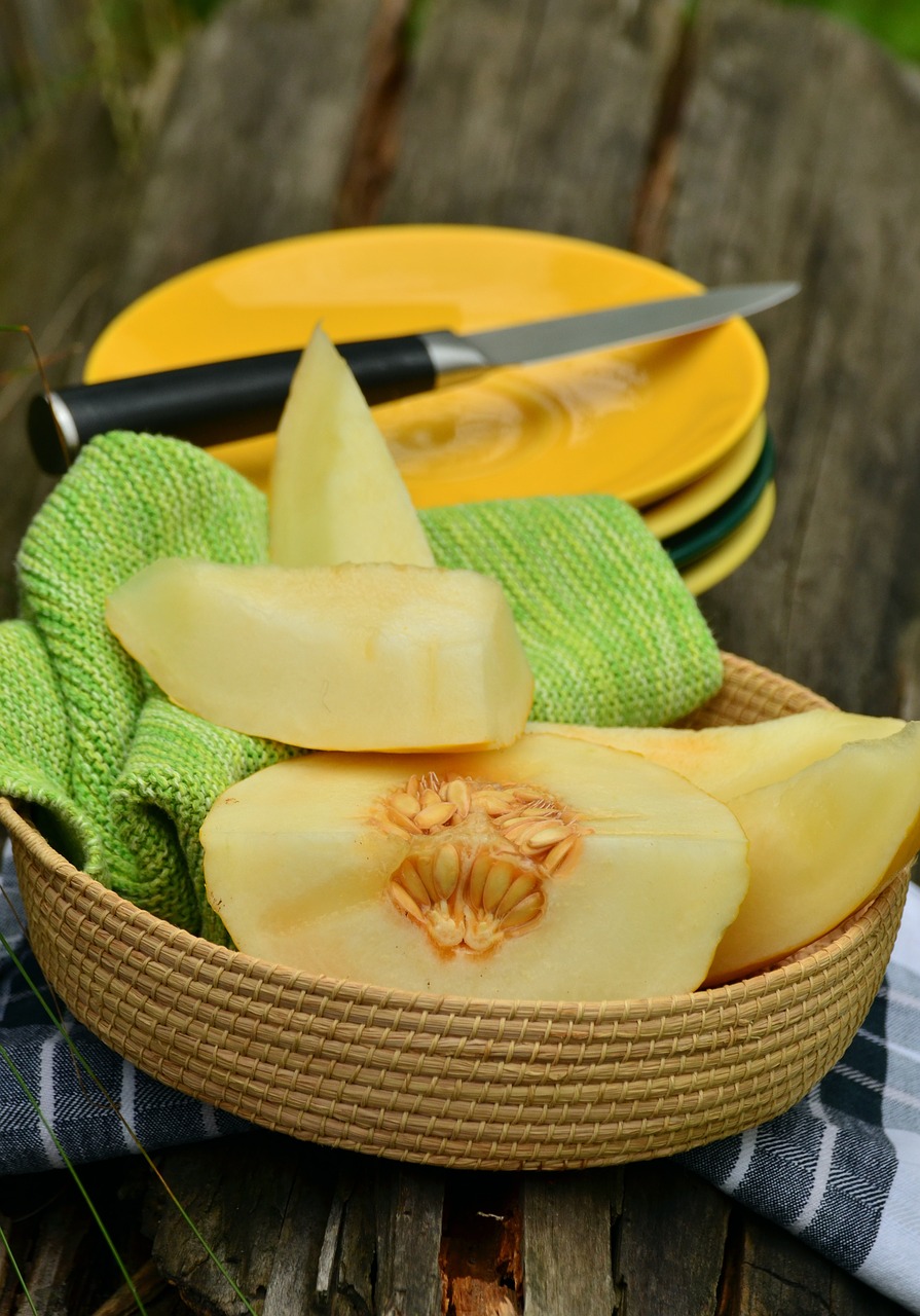 cantaloupe melon amarillo free photo