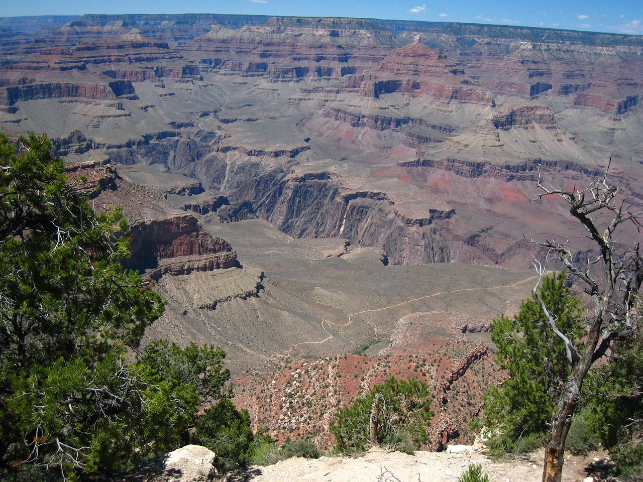 canyon grand canyon desert free photo