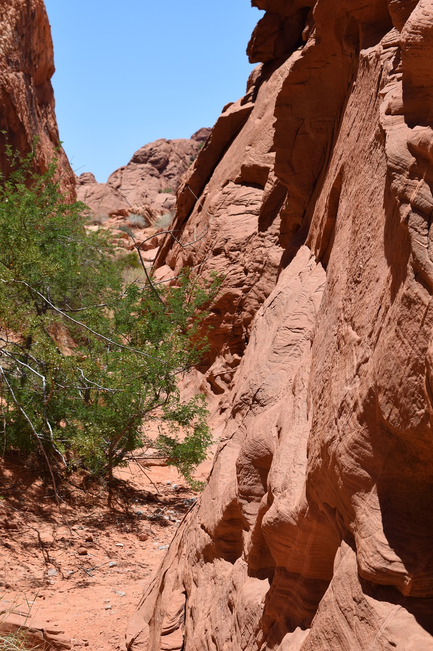 canyon the valley of fire nevada free photo