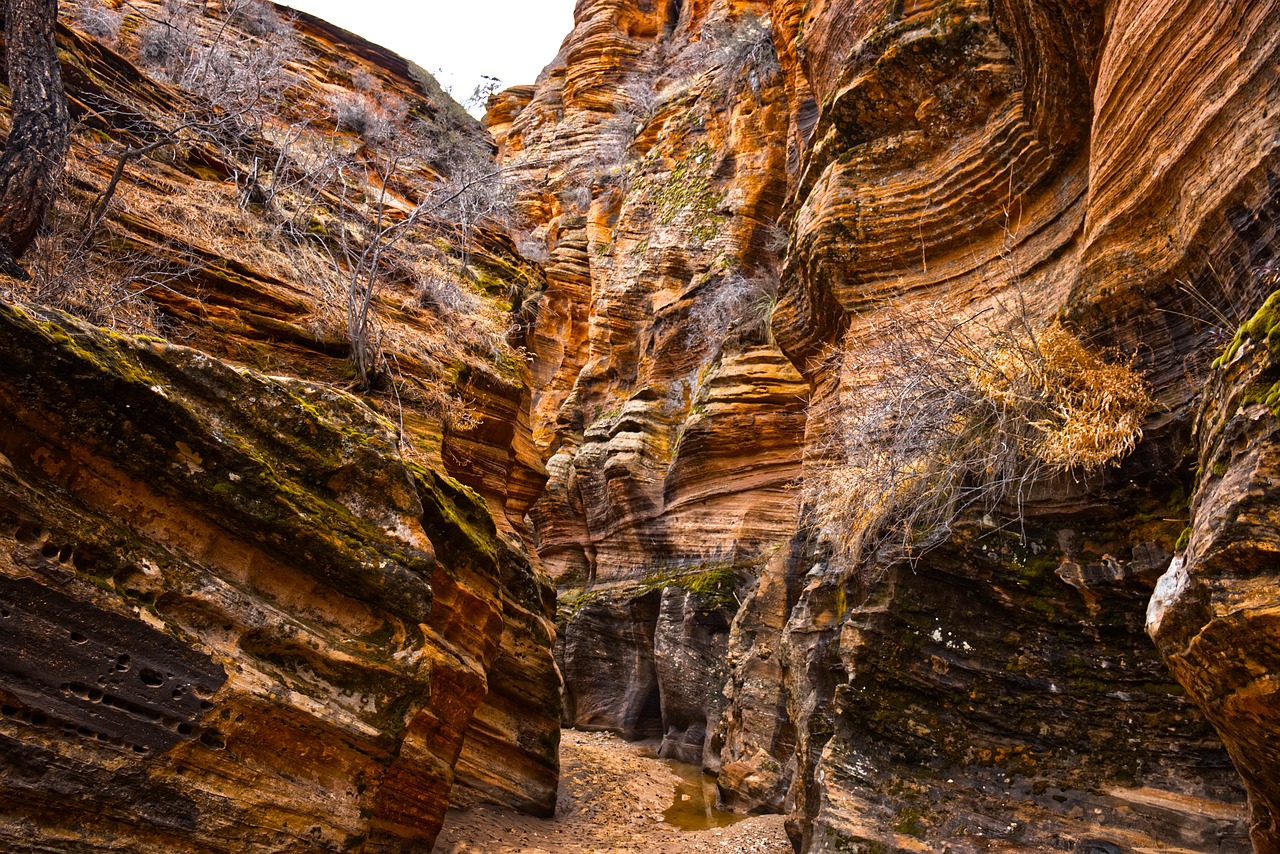 canyon  narrow canyon  rock free photo