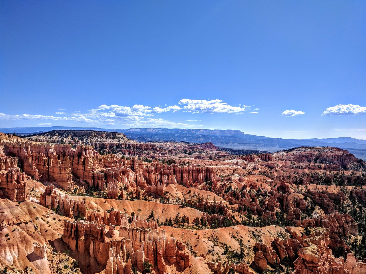 canyon  utah  bryce canyon free photo