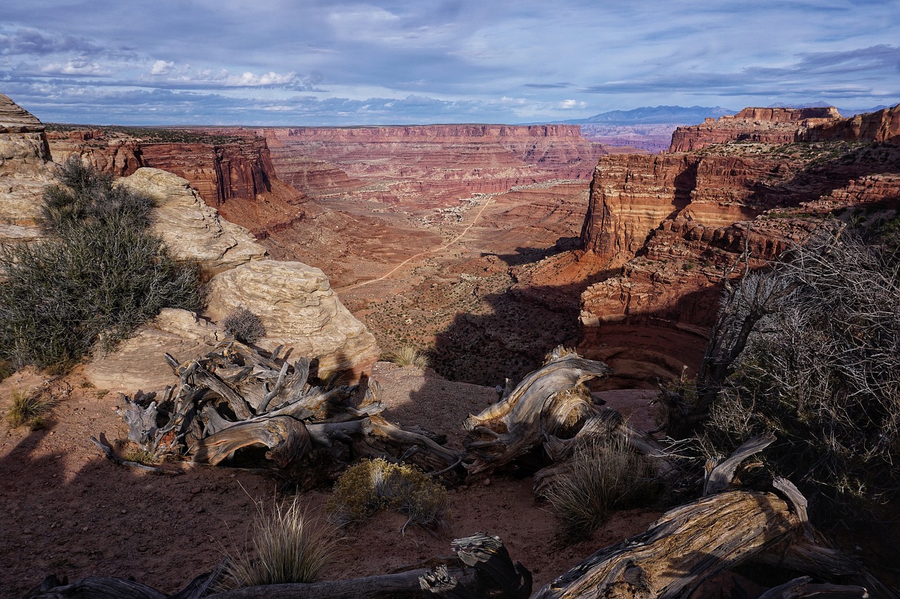 canyon  usa  colorado free photo