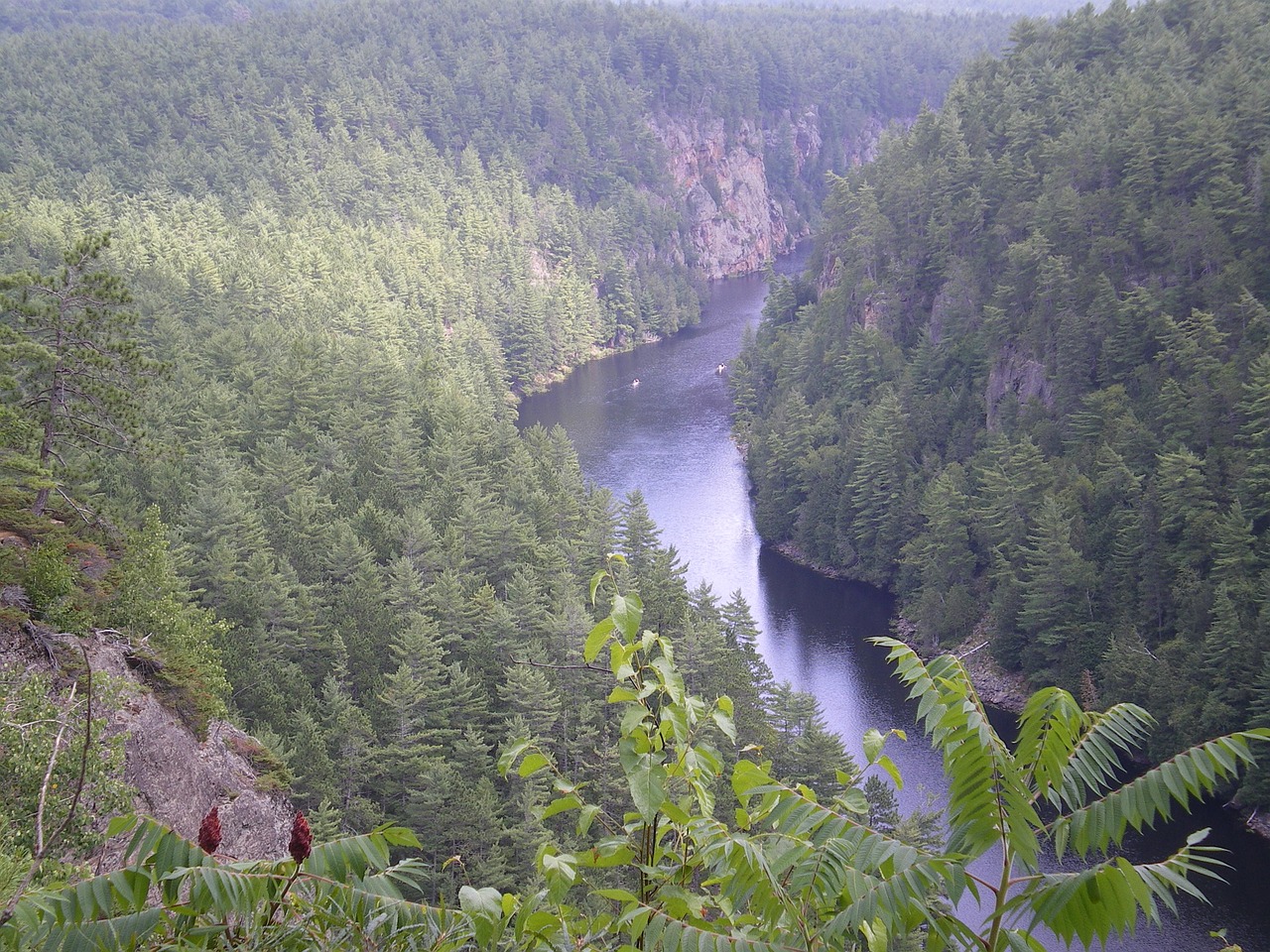 canyon barron canyon algonquin park free photo