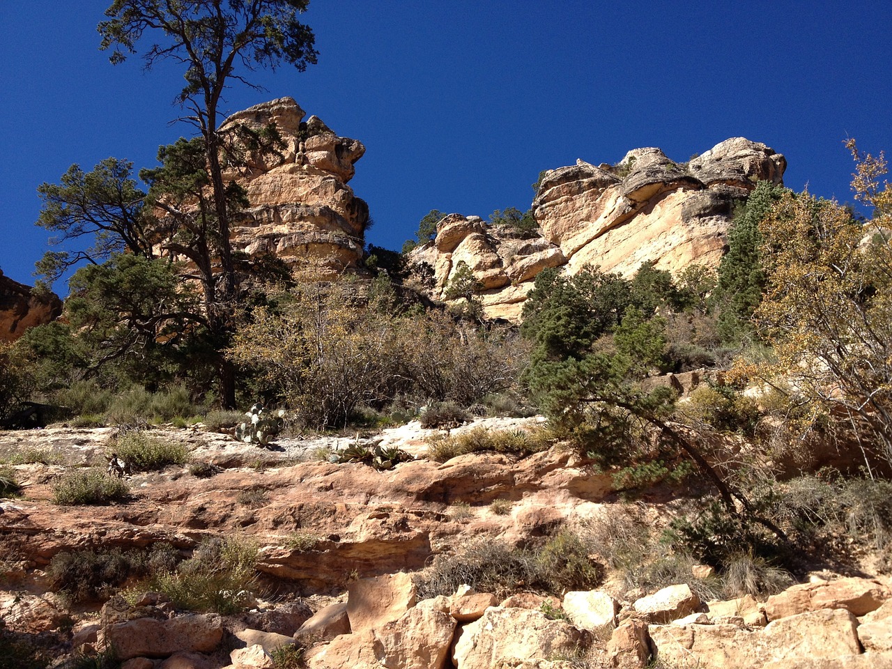 canyon light rock free photo