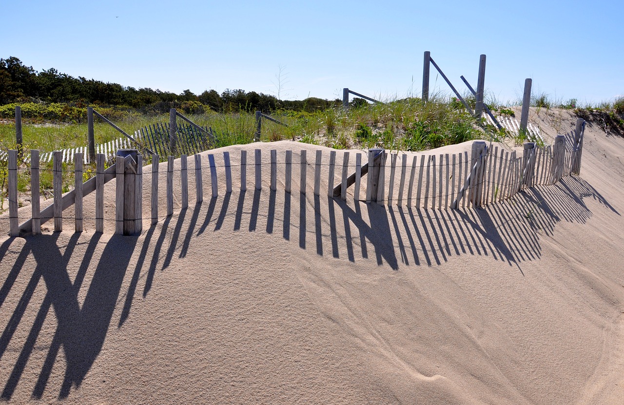 cape cod provincetown dune grass free photo