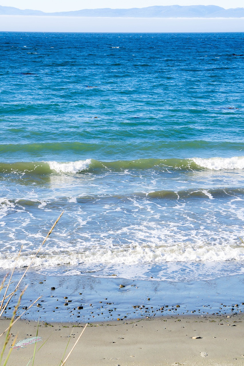 waves sand cape flattery free photo