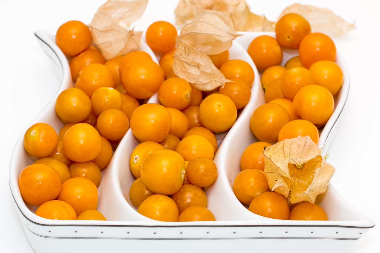 cape gooseberry fruit ripe free photo