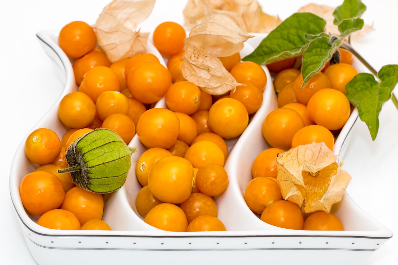 cape gooseberry fruit ripe free photo