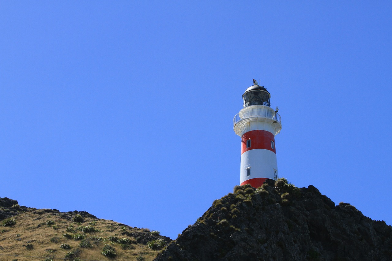 cape palliser lighthouse lighthouse new zealand free photo