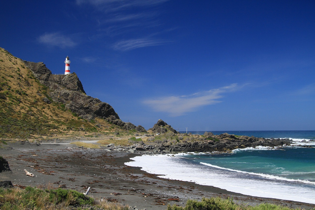 cape palliser lighthouse lighthouse new zealand free photo