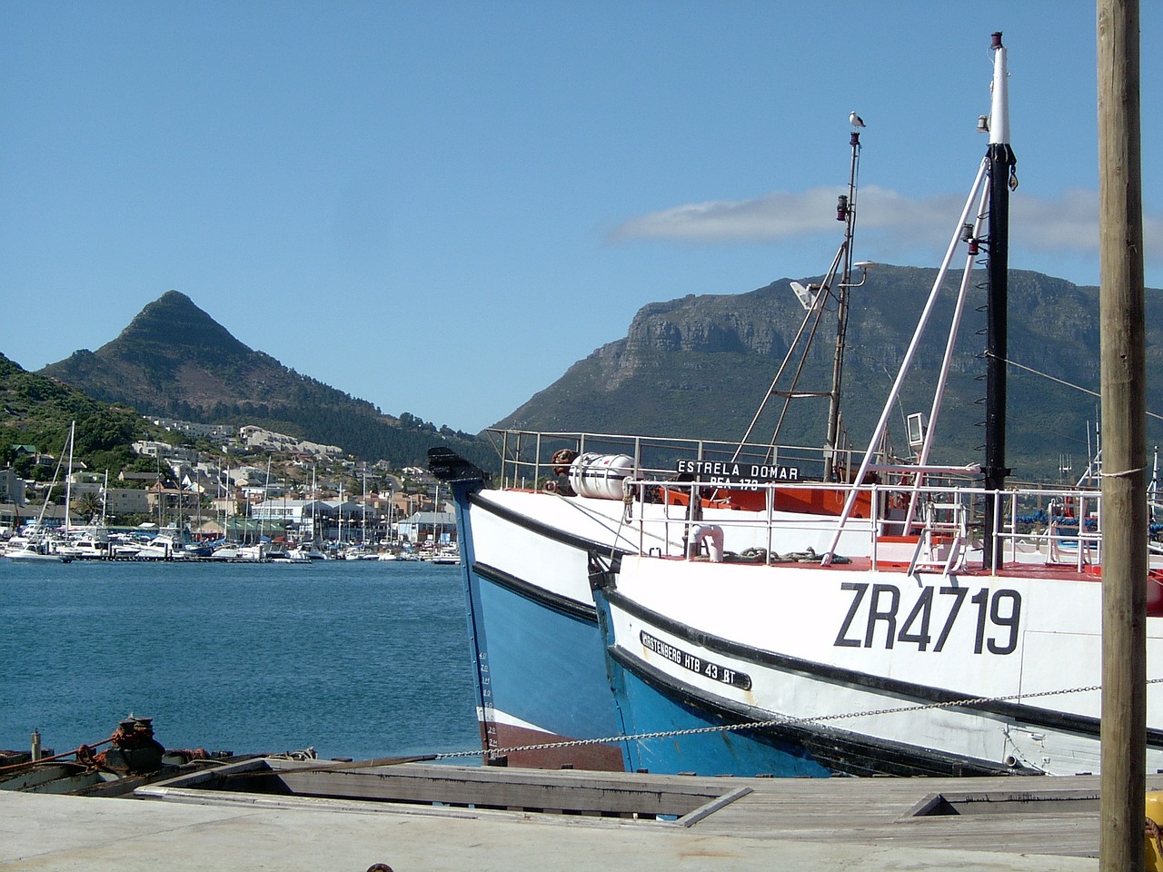 cape town harbour boats free photo