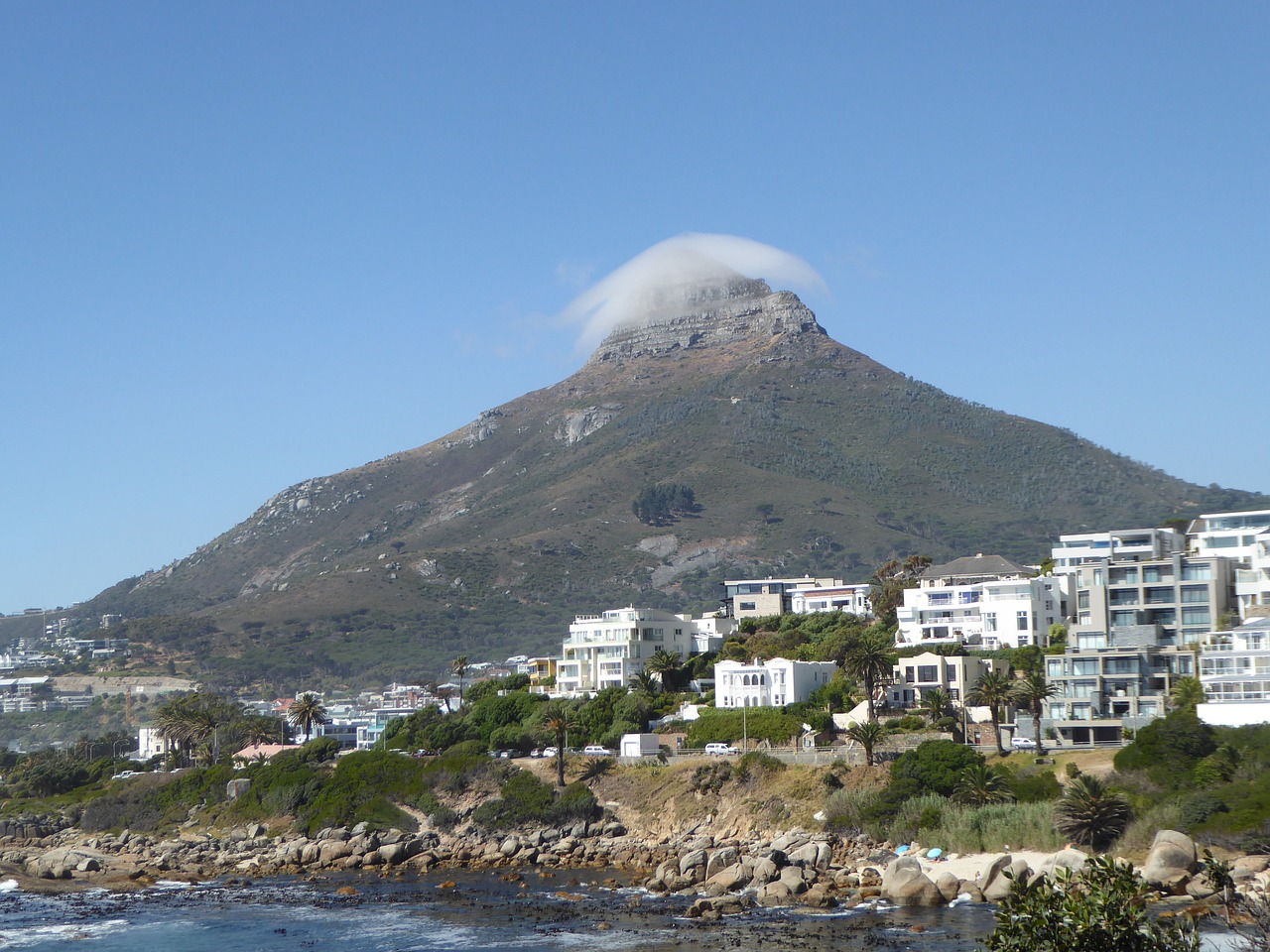 cape town lion head south africa free photo