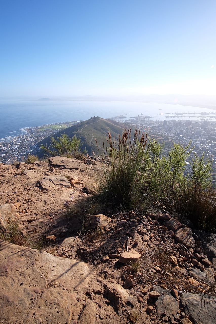 cape town signal hill table bay free photo