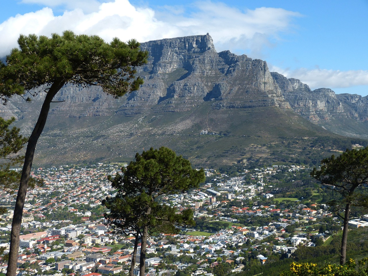 cape town south africa table mountain free photo