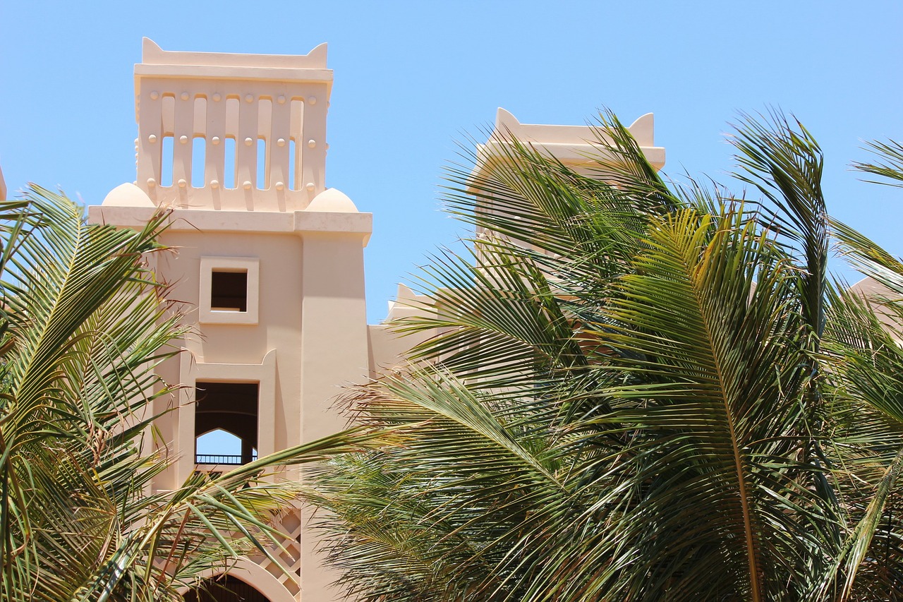 cape verde palm trees hotel free photo