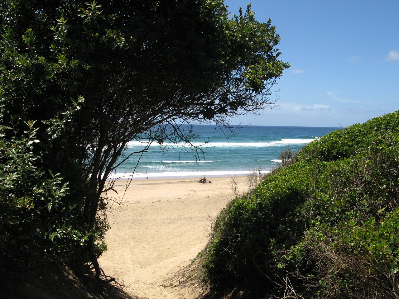 cape vidal africa beach free photo