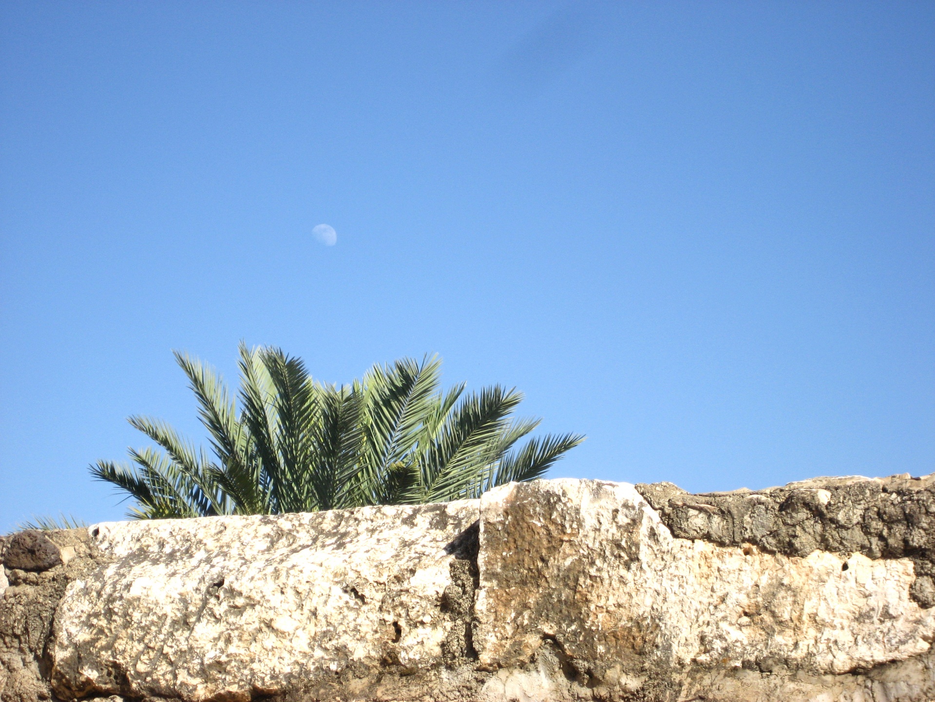 capernaum israel wall free photo