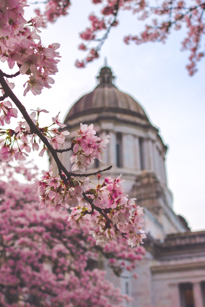 capitol building washington free photo