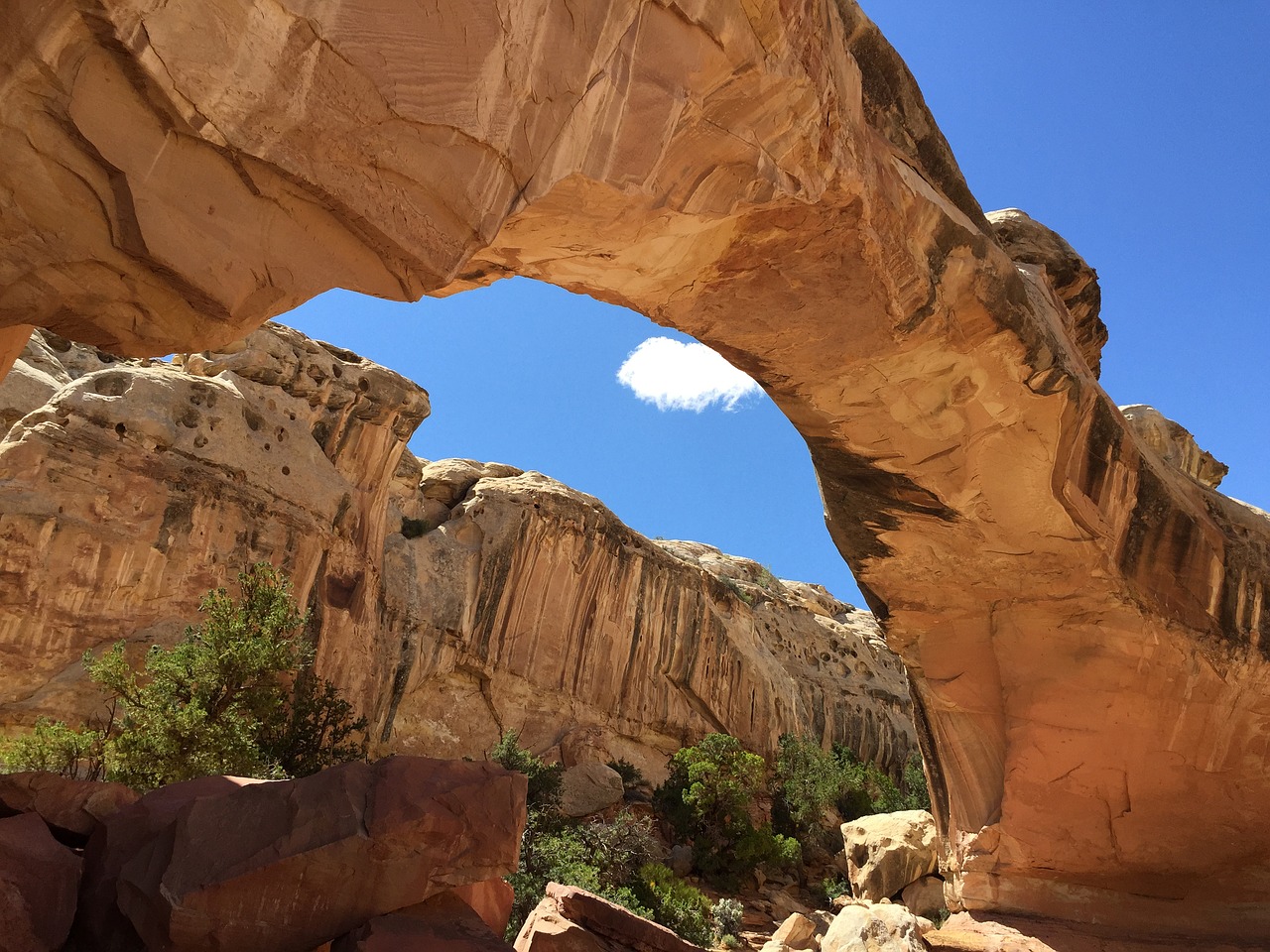 capitol reef national park arc free photo