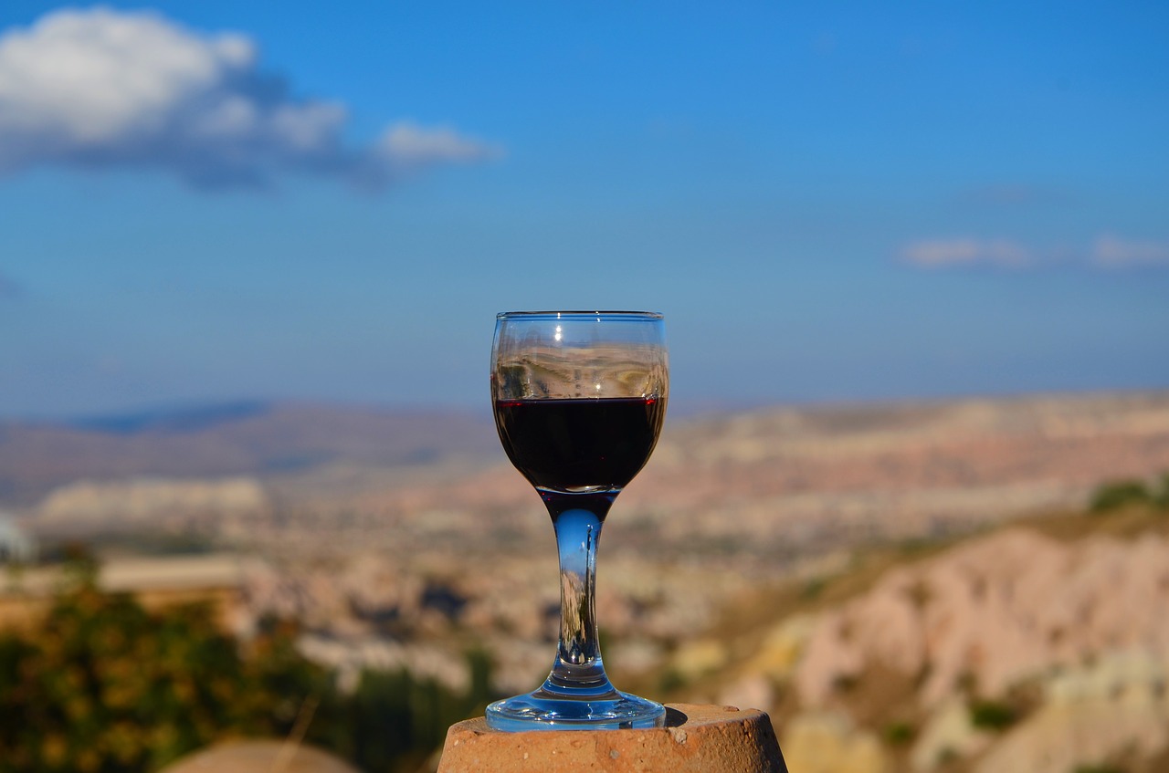 cappadocia panoramic wine free photo