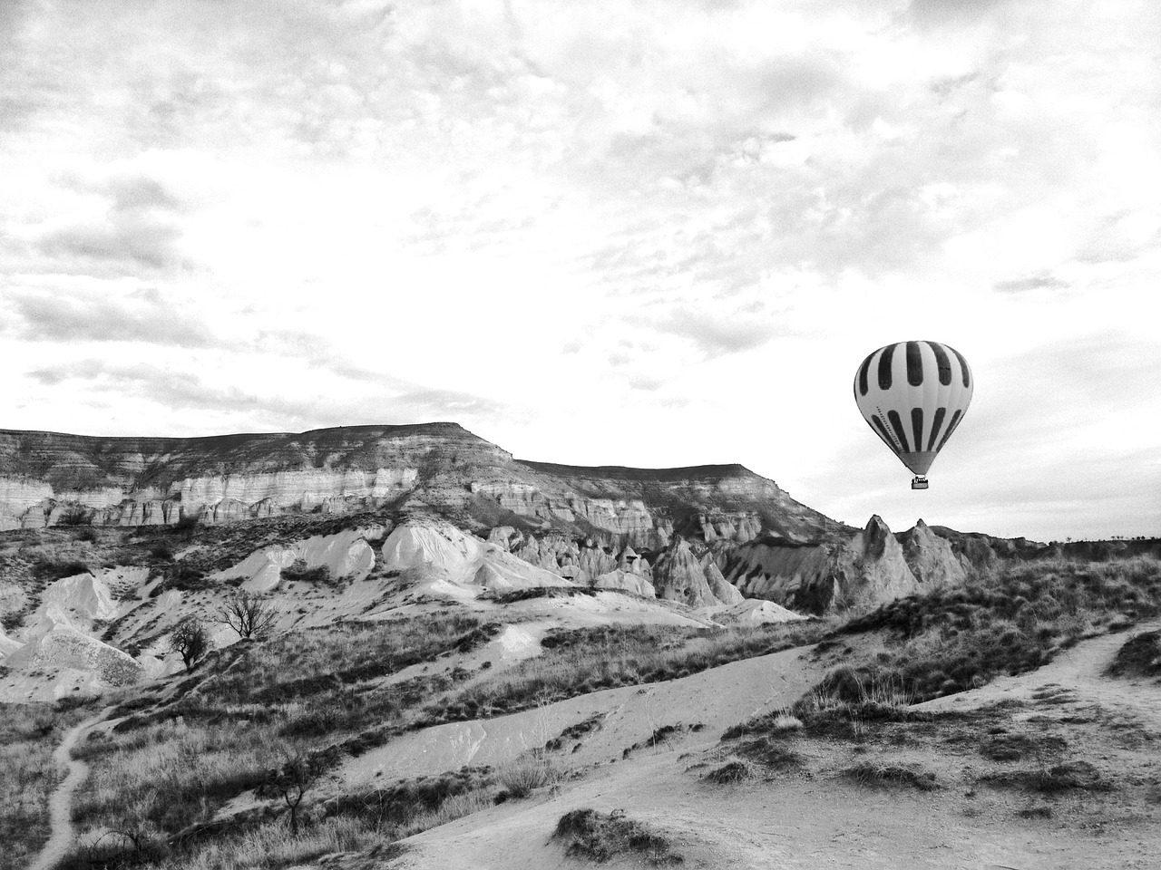 cappadocia balloon sky turkey free photo