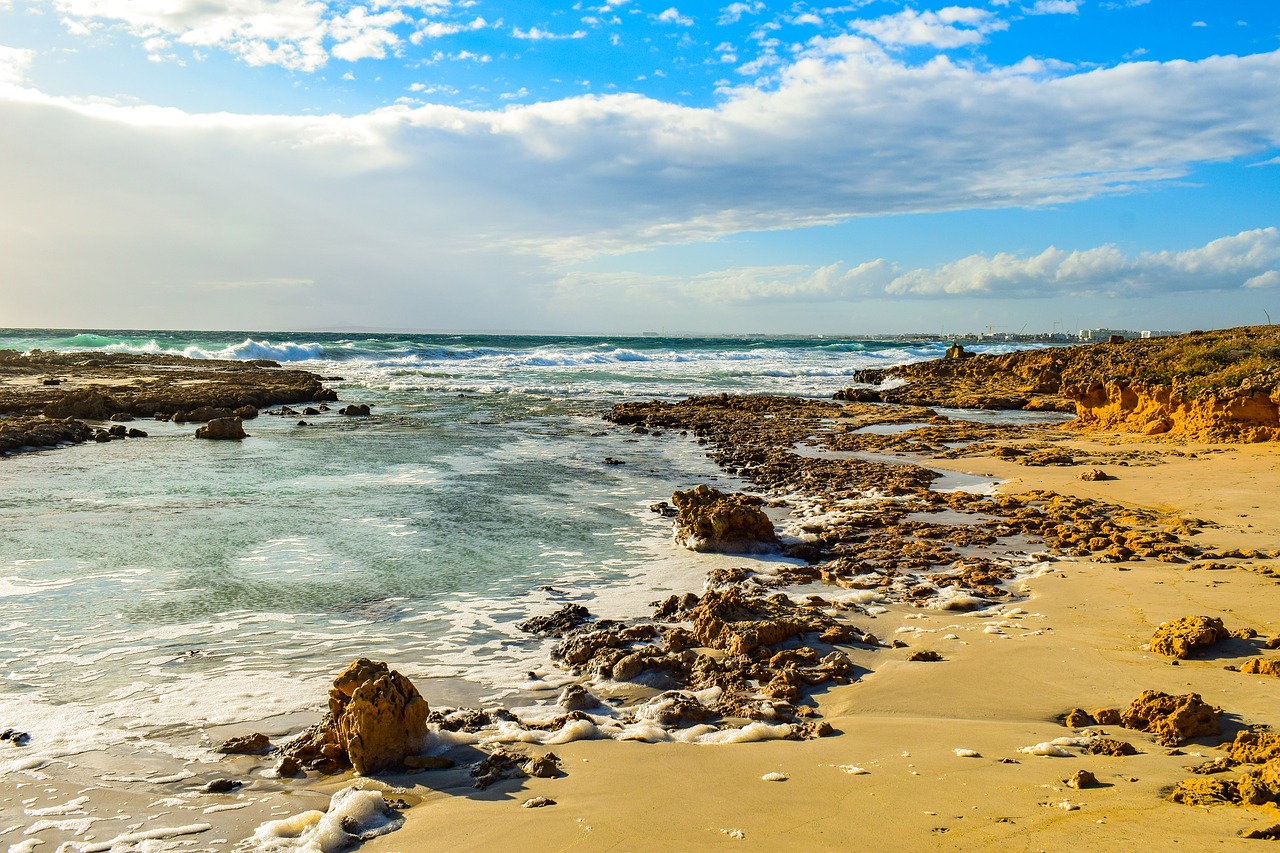 cappuccino coast phenomenon  sea foam  beach free photo