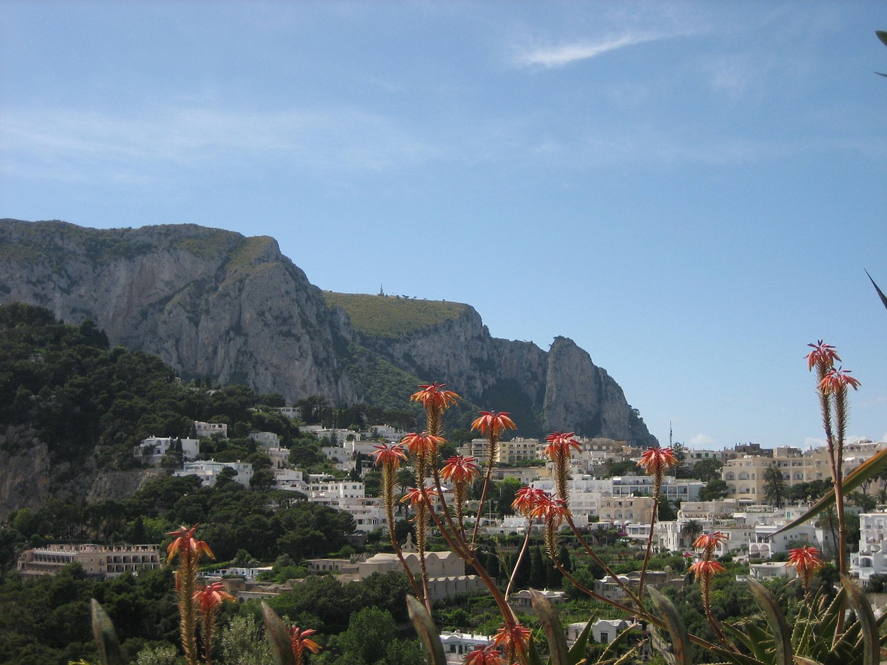 capri scenic flowers free photo