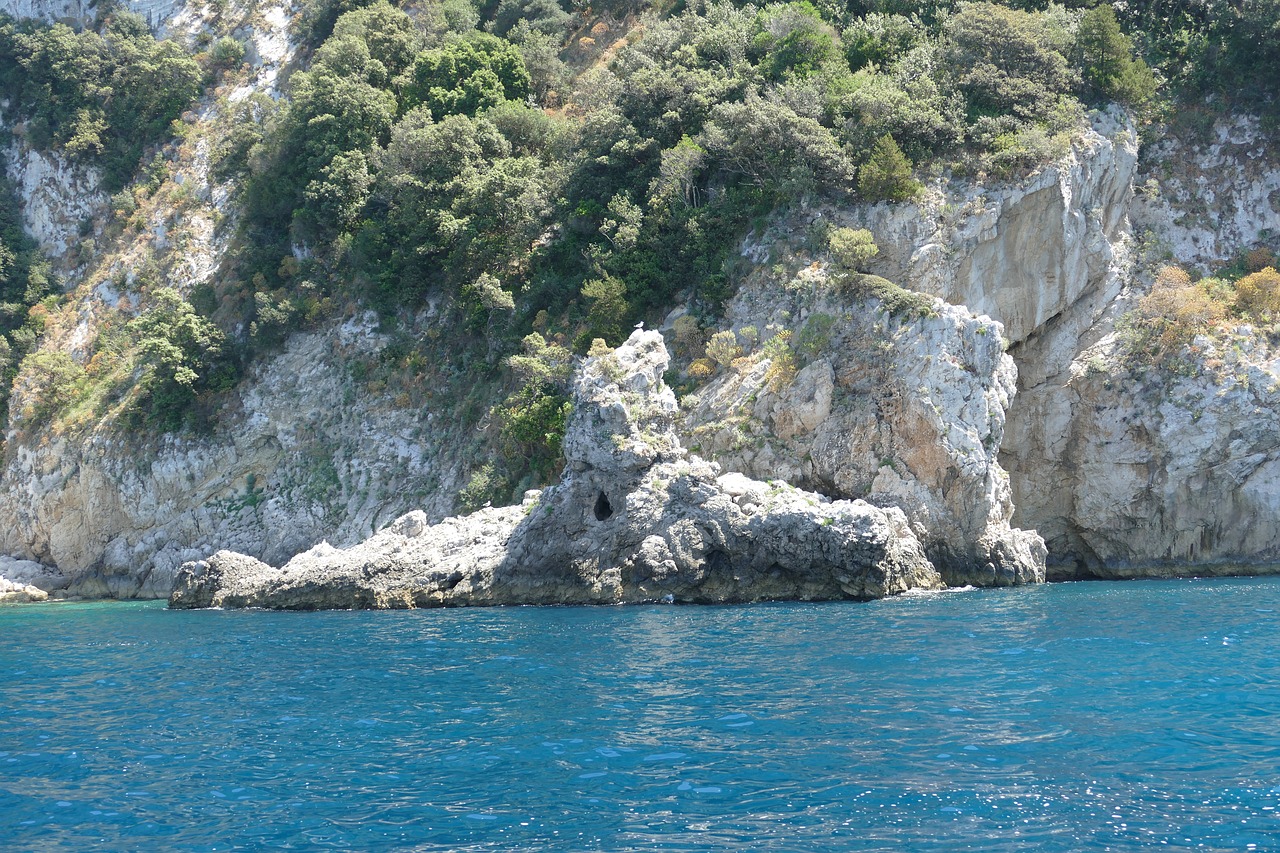 capri  italy  coast free photo