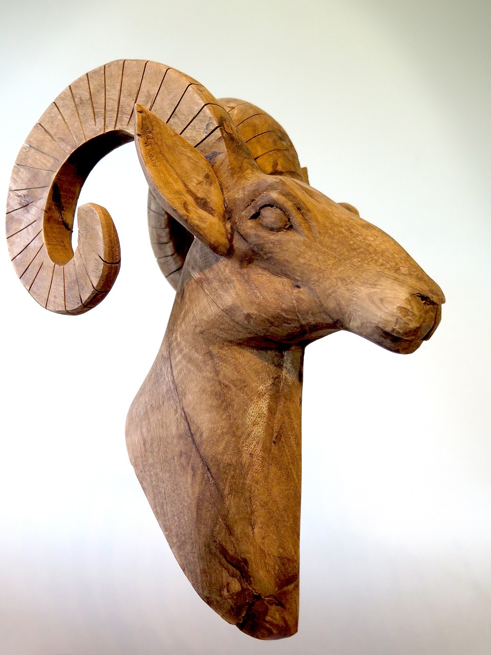 capricorn wood artists free photo