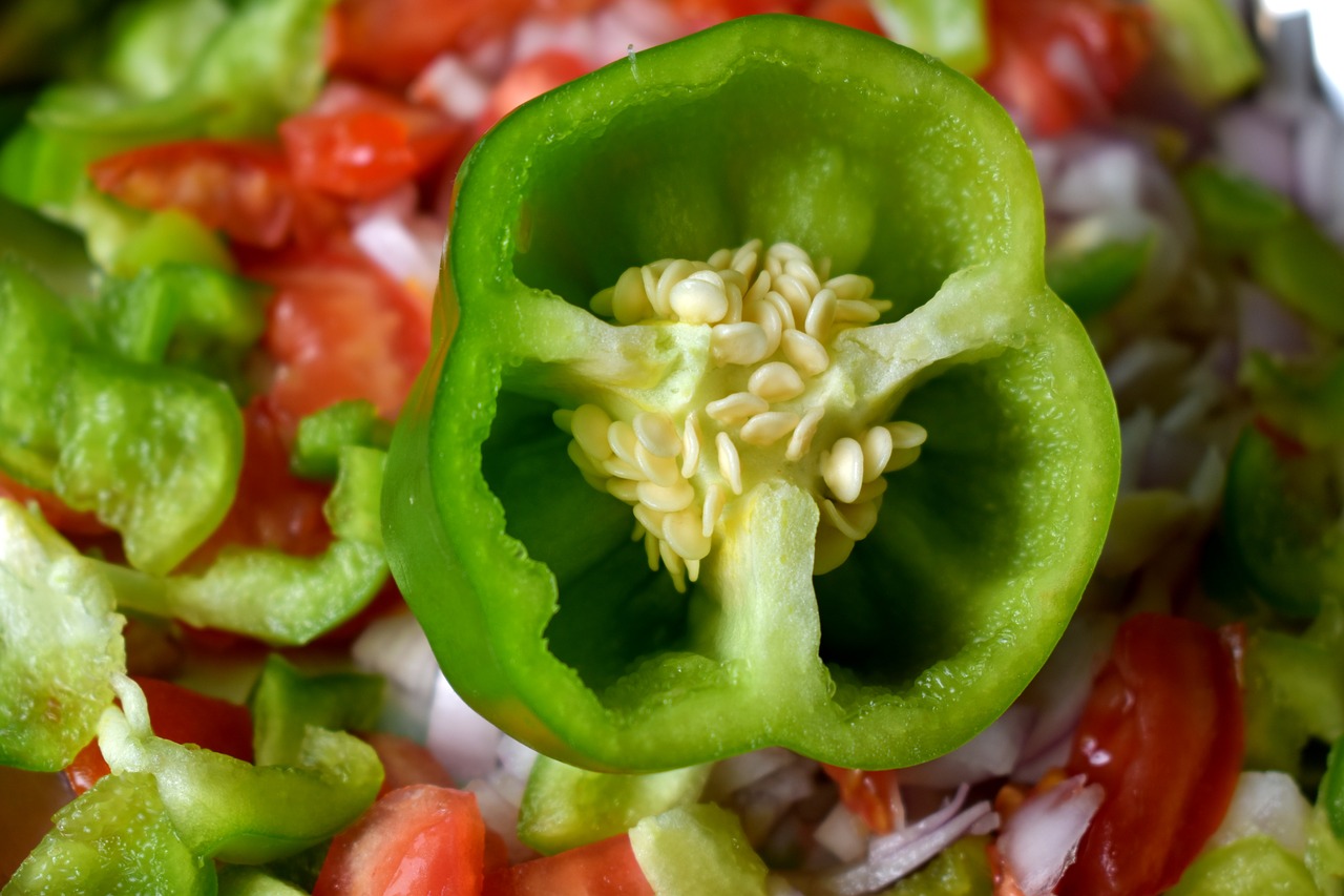 capsicum tomato onion free photo