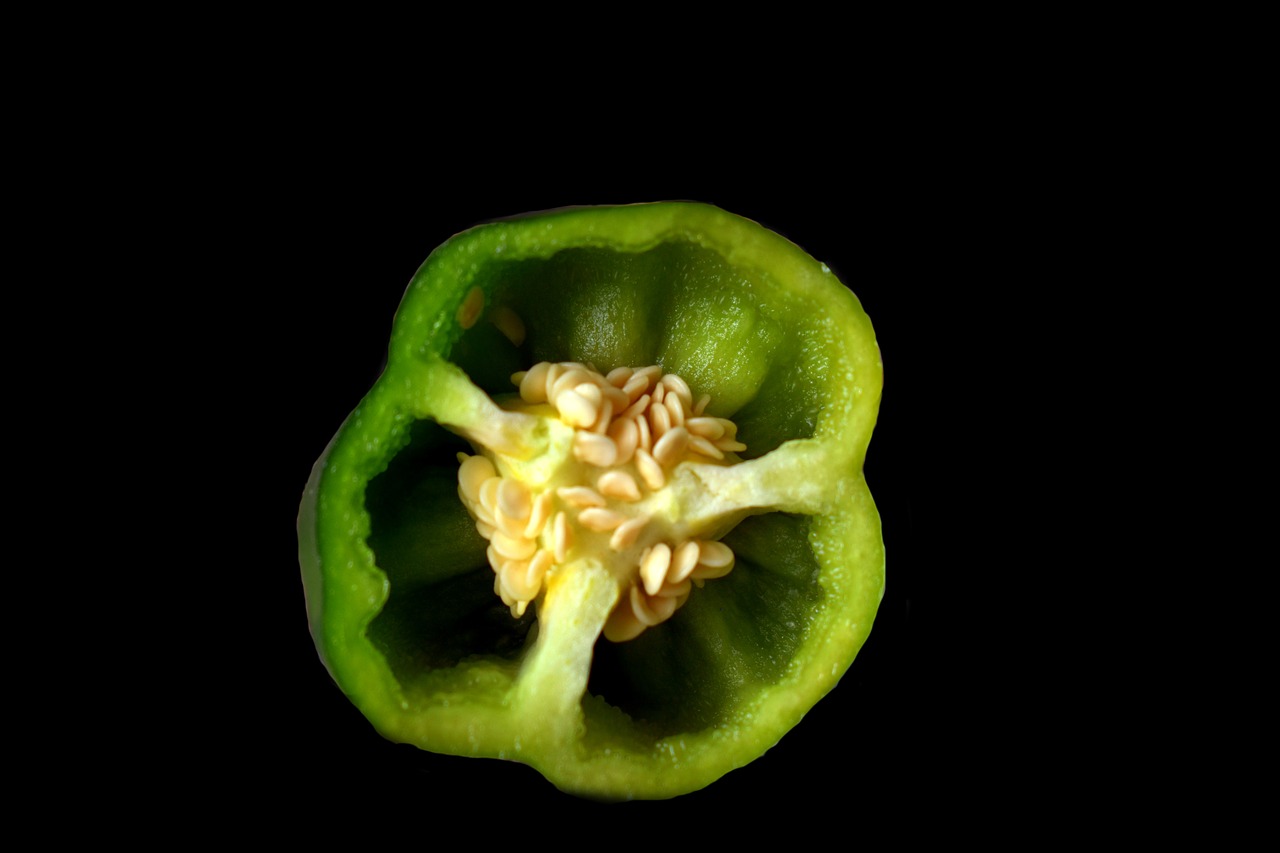 capsicum bell pepper green free photo