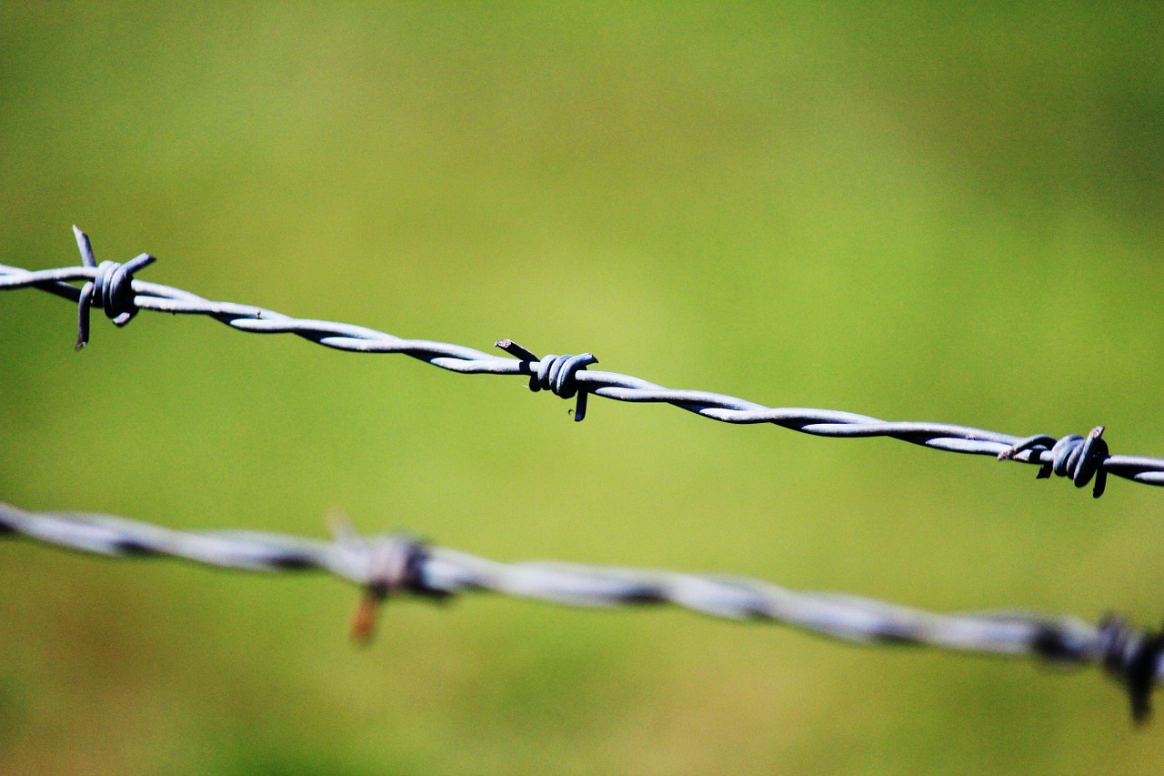 captivity prison barbed wire free photo