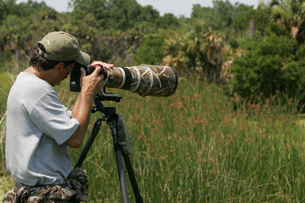 captures photographer wildlife free photo