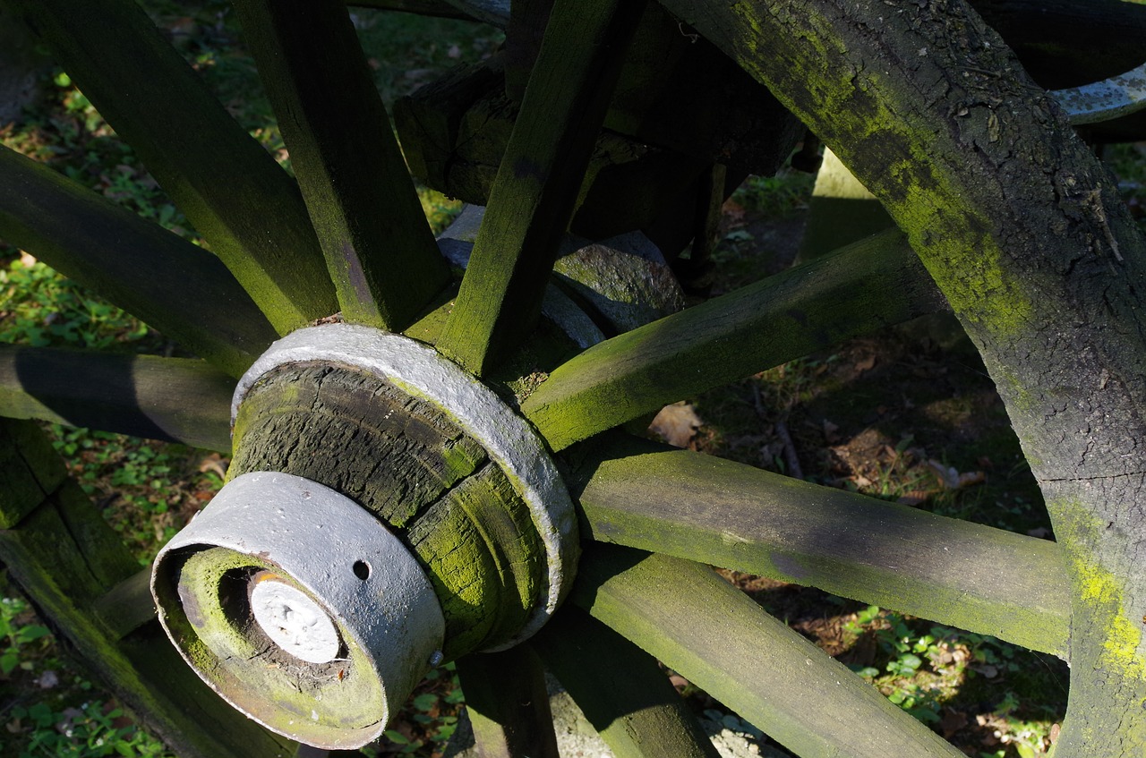 car wooden wheel hub free photo