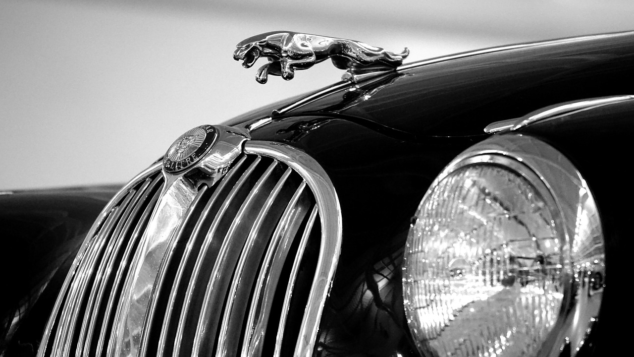 car jaguar classic free photo
