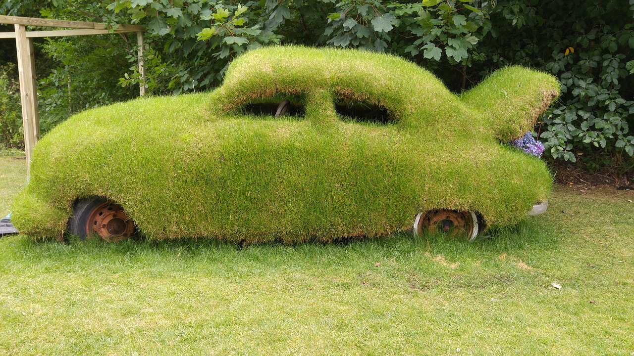 Машина из газона