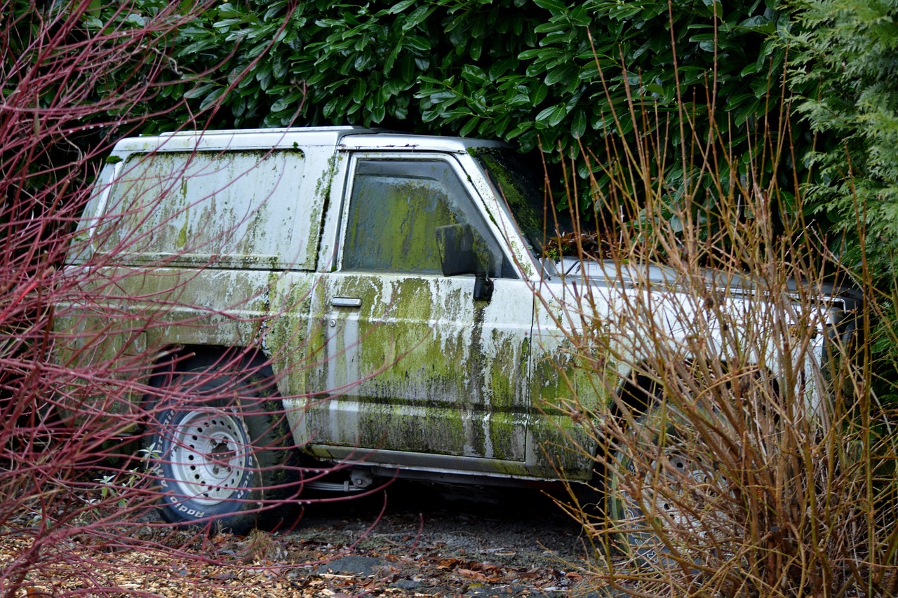 car jeep dirt free photo