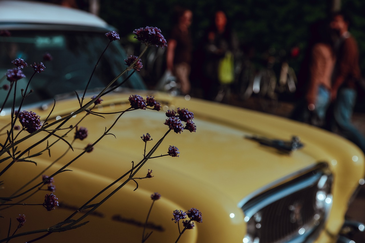 car vintage flower free photo