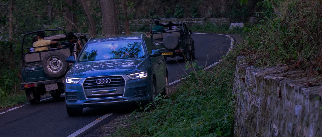 car audi forest free photo