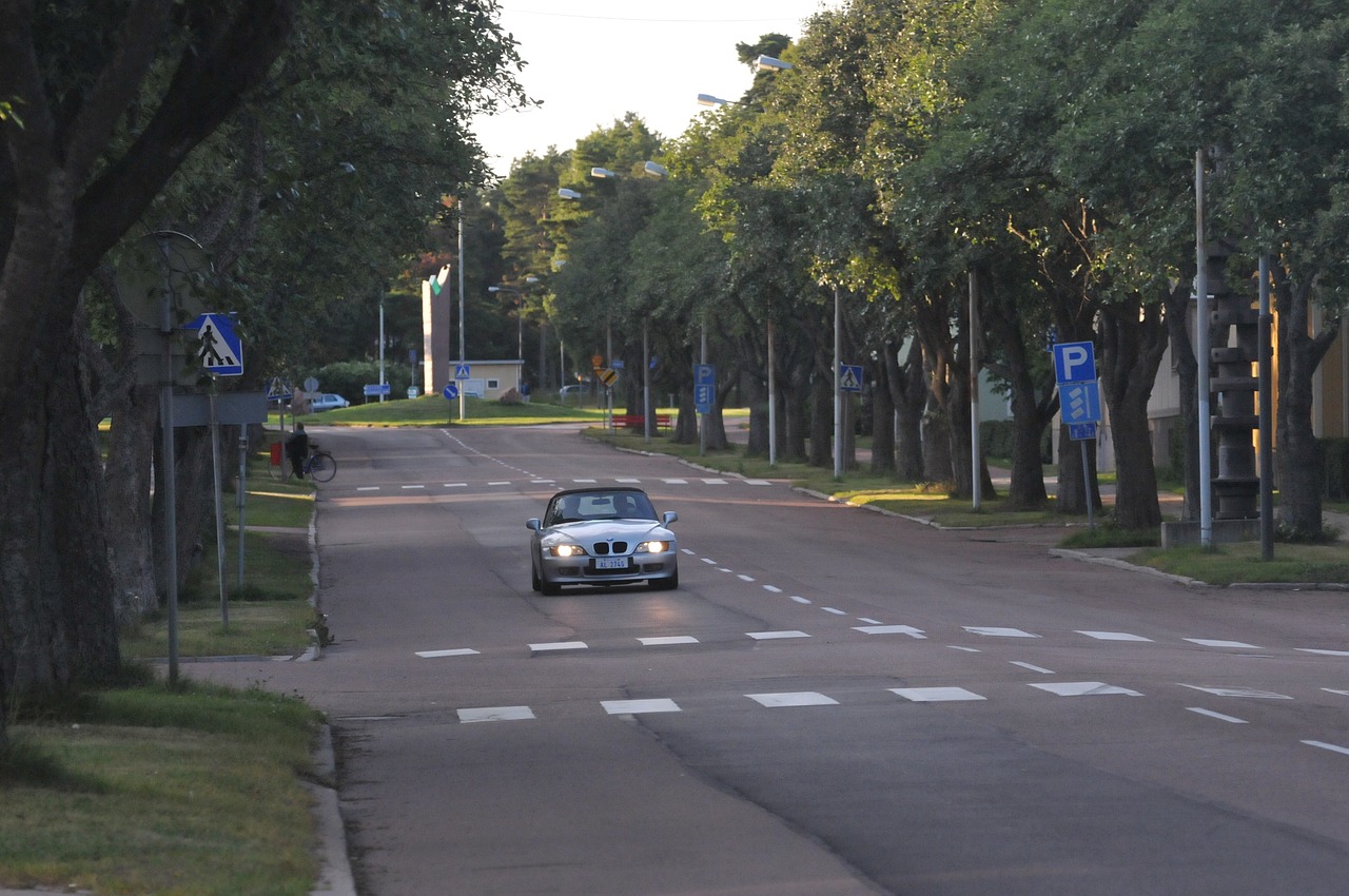 car road trees free photo