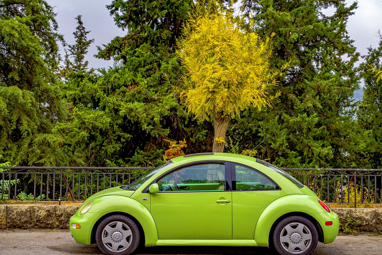 car  beetle  volkswagen free photo