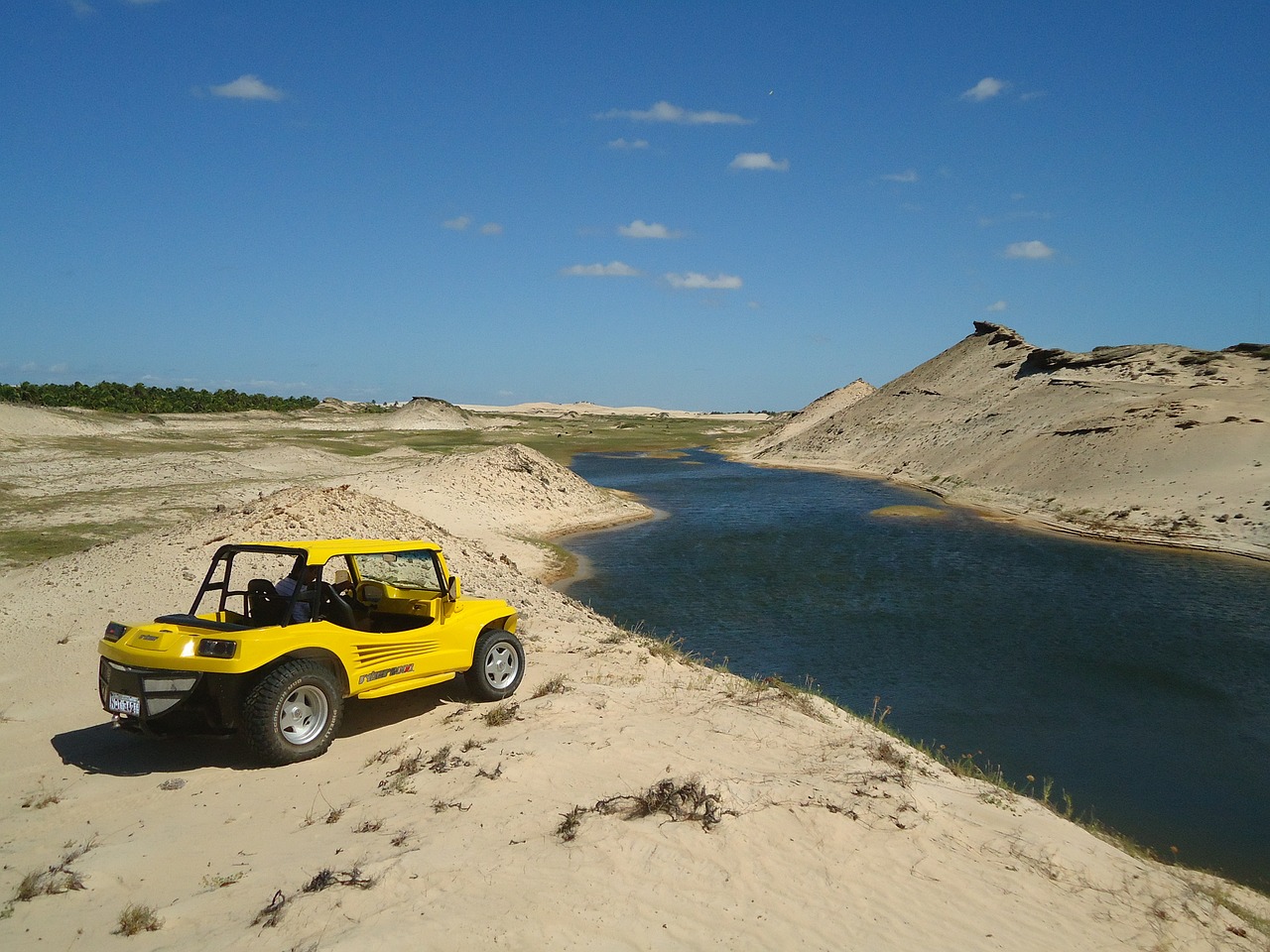 car bug beach free photo