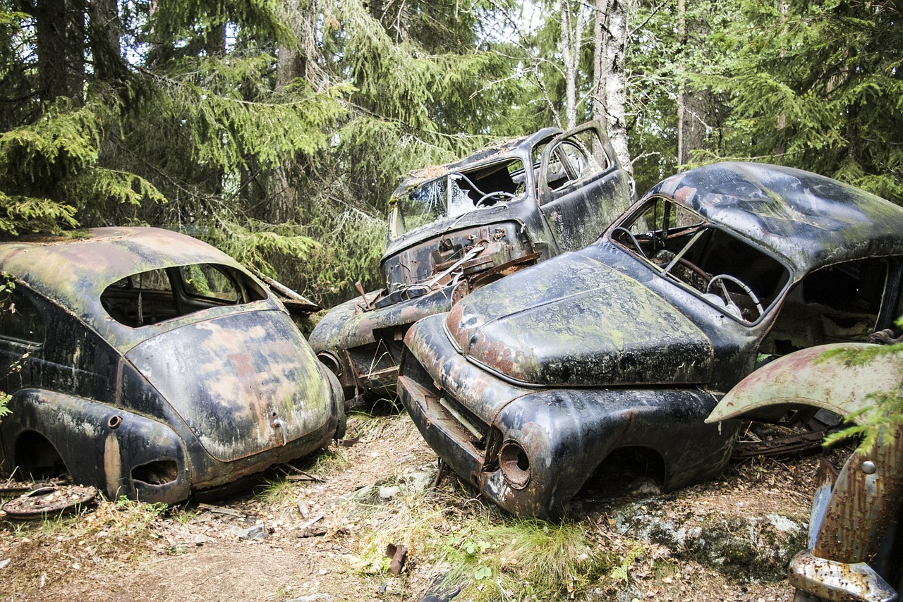 car scrap moss free photo