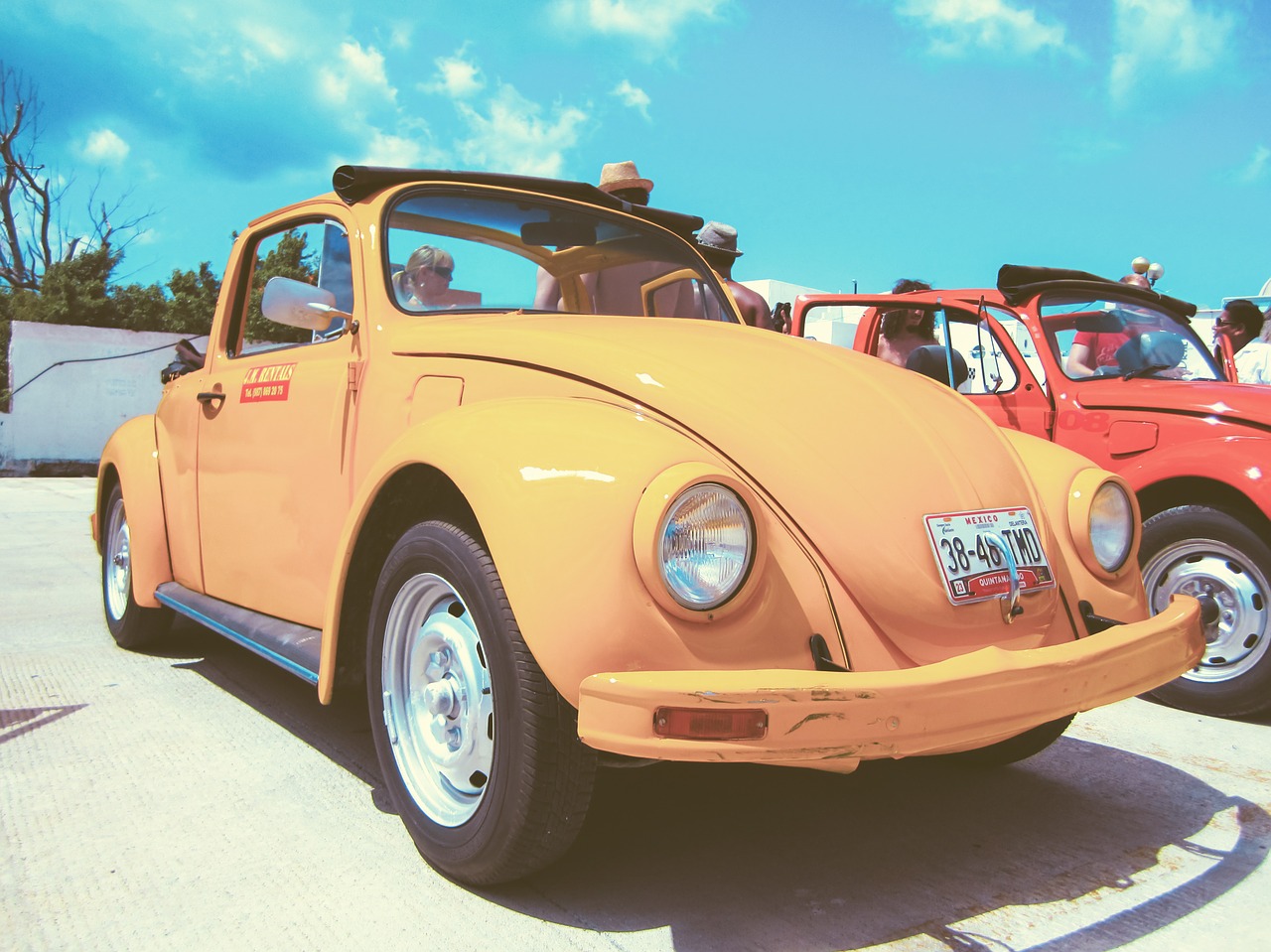 car oldtimer beetle free photo